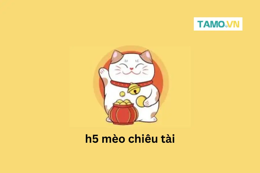 mèo chiêu tài